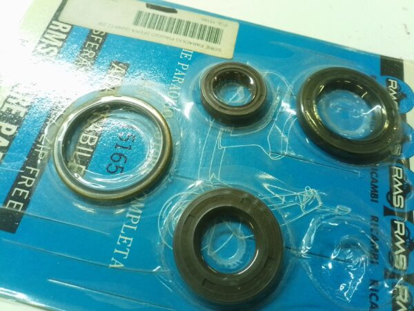 PIAGGIO zip quartz sfera serie paraolio motore parziale 15165
